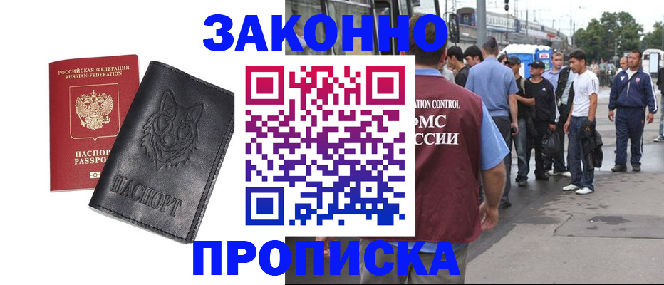 прописка поиск в Купино